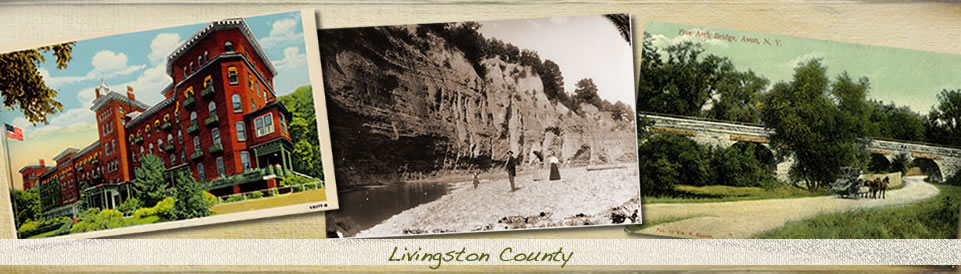Livingston County